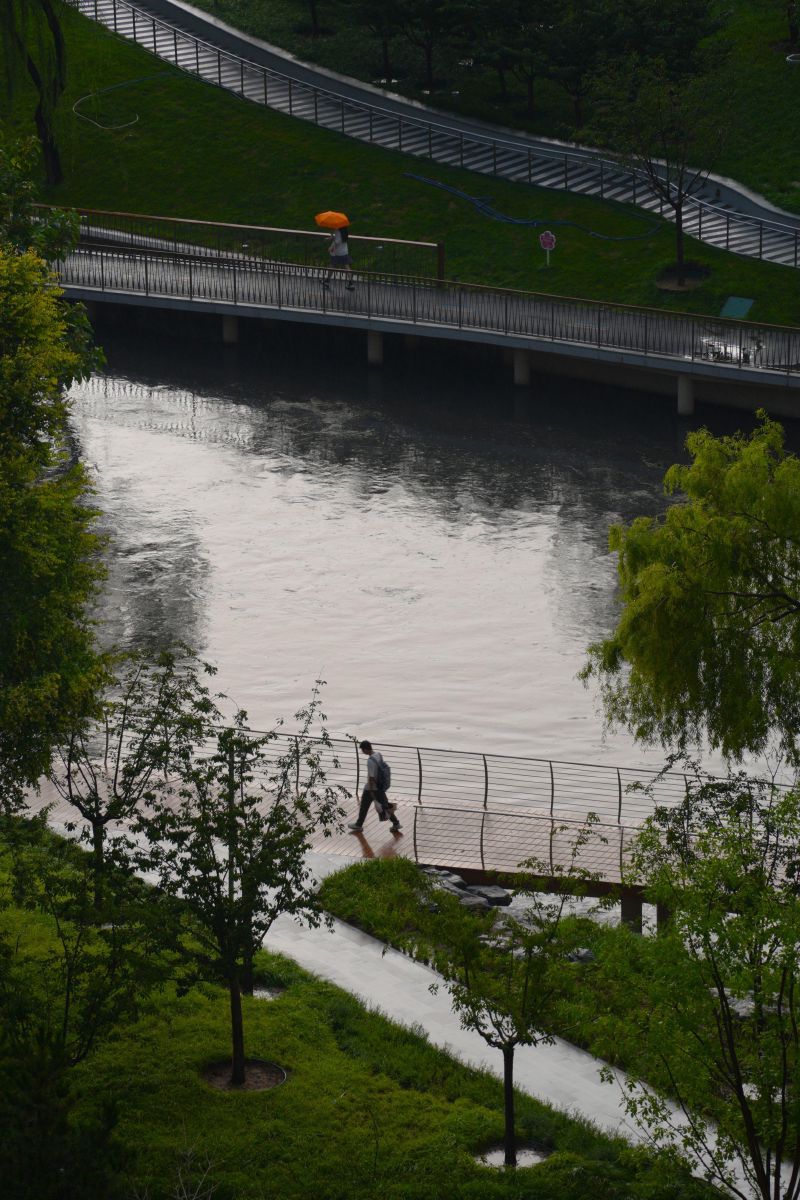 DSC01665.JPG