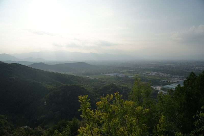 DSC01442.JPG